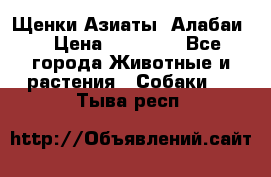 Щенки Азиаты (Алабаи) › Цена ­ 20 000 - Все города Животные и растения » Собаки   . Тыва респ.